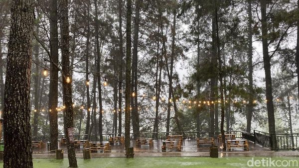 Foto: 8 Tempat Wisata di Bogor yang Keren Abis!
