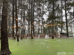 4 Tempat Nongkrong dengan View Pemandangan Alam Bogor