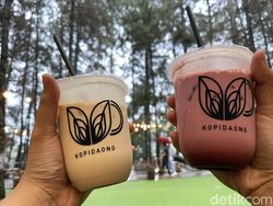 Kopi Daong : Ngopi Kekinian Ditemani Panorama Hutan Pinus
