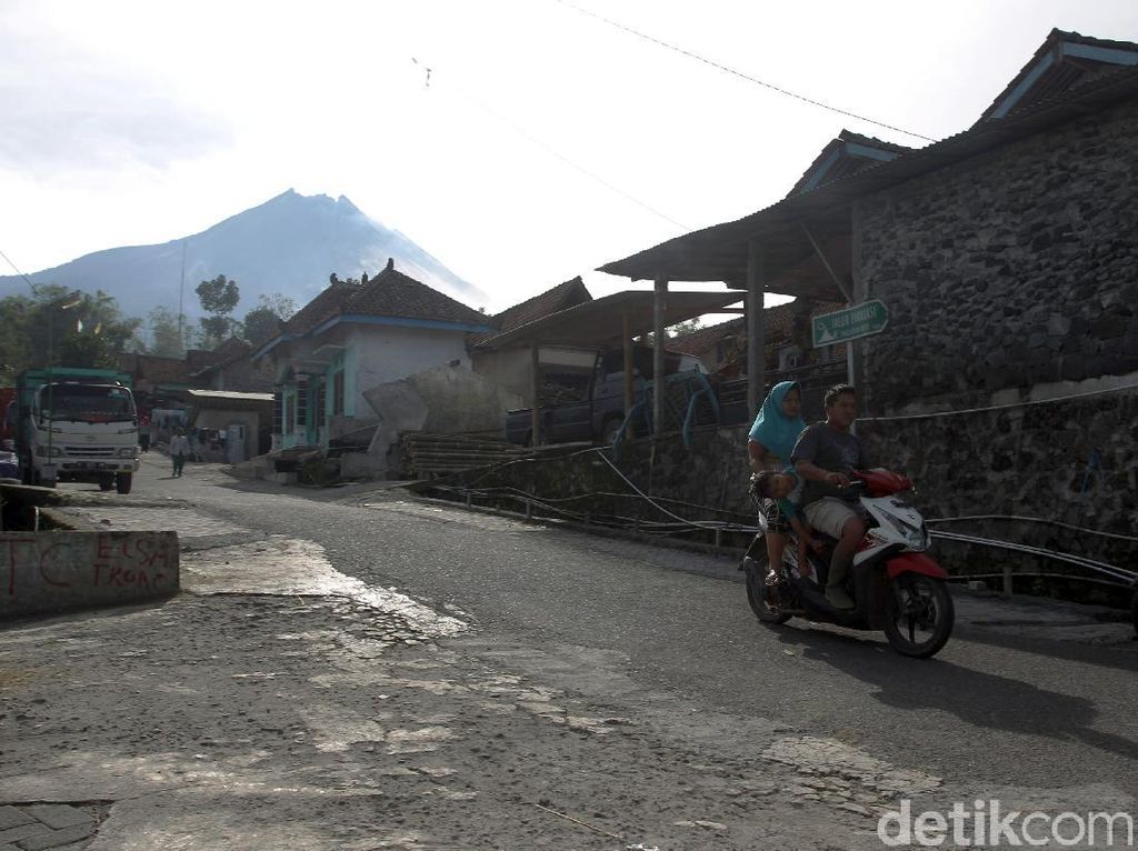 Ternak Pengungsi Gunung Merapi di Magelang Akan Diberi Barcode
