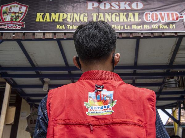 Saat Ayam Jago Jaga Kampung Dari Corona