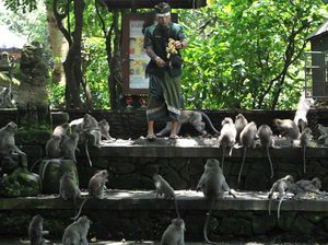 Foto: 5 Destinasi Ciamik untuk Seharian Healing di Ubud
