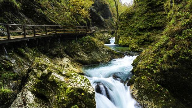 Vintgar Gorge is on of the most famous gorge in Slovenia. There are many autumn leaves and blue clear gorge.It is near by Lake Bled.