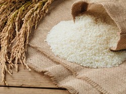 Beras Jepang Ini Rasanya Manis Alami Seperti Gula