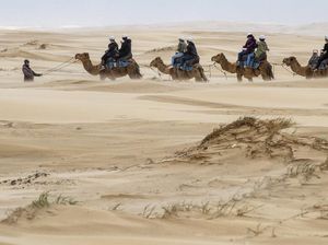 Wisata Menunggangi Unta di Bukit Pasir Australia