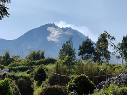 Laju Deformasi Merapi Rata-rata 12 Cm per Hari