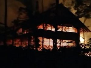 Kandang Ternak di Ciamis Terbakar, 9.750 Ekor Ayam Mati Terpanggang