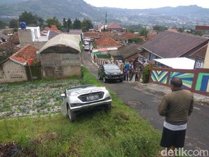 Tak Kuat Menanjak, Mobil Wisatawan Terperosok ke Kebun di Lembang