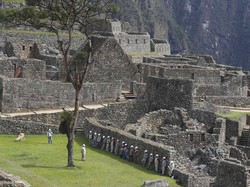 Aktivitas Warga Peru Setelah Aturan Lockdown Sebulan Dicabut