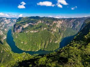 Viral, Bintang Porno Wik wik di Taman Nasional