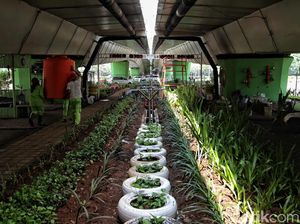 Bagus Kan! Ini di Kolong Flyover Kemayoran Lho