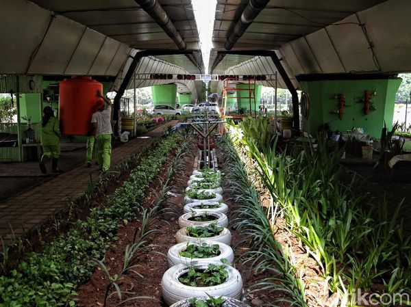 Bagus Kan! Ini di Kolong Flyover Kemayoran Lho