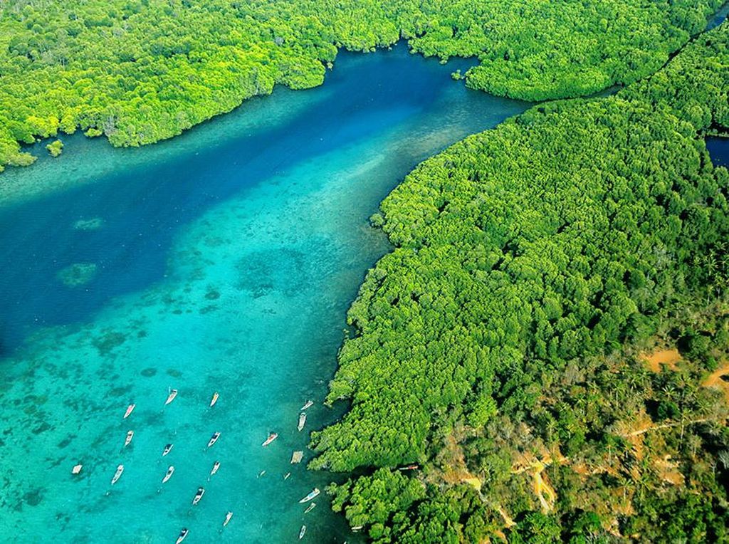 10 Tempat Wisata Jepara yang Seru Banget! 10 Tempat Wisata Jepara yang Seru Banget!