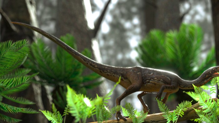 Pertama Kalinya Ada Rekonstruksi Sempurna Otak Dinosarus Pertama Kalinya Ada Rekonstruksi Sempurna Otak Dinosarus