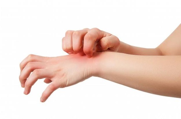 Foto:freepik.com/ Manfaat Senna Alata