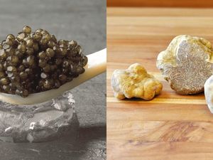 Gokil! 5 Makanan Mahal Ini Lebih Berharga dari Emas Gokil! 5 Makanan Mahal Ini Lebih Berharga dari Emas