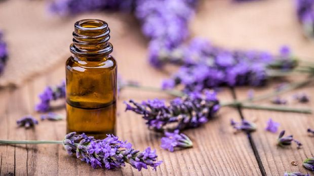 ilustrasi aromaterapi atau essential oils