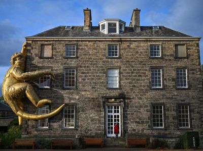 Potret Monyet Emas Hinggap di Edinburgh