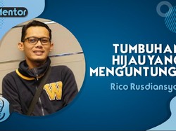 Panen Cuan Bisnis Tanaman Hias