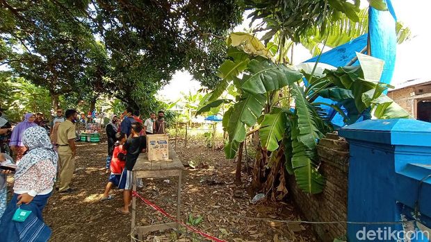 Viral daun pisang berwarna putih di Kudus, Senin (9/11/2020).