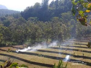Lagi di Kaki Gunung Wilis, Cobalah Mampir ke Kafe Ini