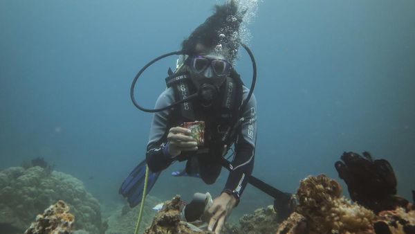 Aksi Bersih-bersih Laut di Tengah Peringatan Hari Pahlawan
