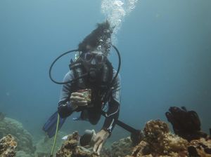 Aksi Bersih-bersih Laut di Tengah Peringatan Hari Pahlawan Aksi Bersih-bersih Laut di Tengah Peringatan Hari Pahlawan