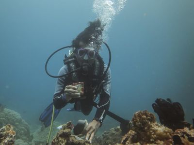 Aksi Bersih-bersih Laut di Tengah Peringatan Hari Pahlawan
