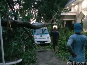 Hujan-Angin Kencang di Kudus, Pohon Tumbang Timpa Mobil