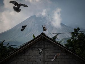 Potensi Bahaya Erupsi Gunung Merapi di Kali Gendol