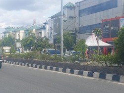 Alasan Reklame Terganggu Bikin Pengusaha Tebang 83 Pohon di Pekanbaru