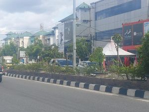 Alasan Reklame Terganggu Bikin Pengusaha Tebang 83 Pohon di Pekanbaru Alasan Reklame Terganggu Bikin Pengusaha Tebang 83 Pohon di Pekanbaru