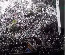Massa Penjemput Habib Rizieq Menyemut Putihkan Terminal 3 Bandara Soetta