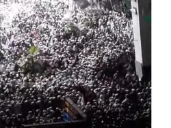 Massa Penjemput Habib Rizieq Menyemut Putihkan Terminal 3 Bandara Soetta