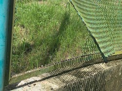 Residivis di Papua Kabur Lagi dari Penjara, Kali Ini dari Lapas Narkotika