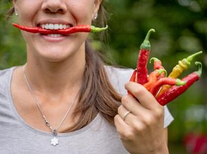 Makan Terlalu Pedas Bahaya untuk Tubuh? Ini Kata Pakar Makan Terlalu Pedas Bahaya untuk Tubuh? Ini Kata Pakar