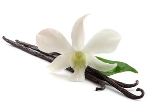 Peneliti Sebut Ada Bau Paling Harum, Bisa Tebak? Peneliti Sebut Ada Bau Paling Harum, Bisa Tebak?