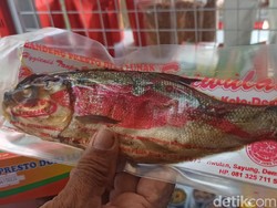 Bandeng Presto dari Demak Tanpa Bahan Pengawet dengan Harga Bersaing