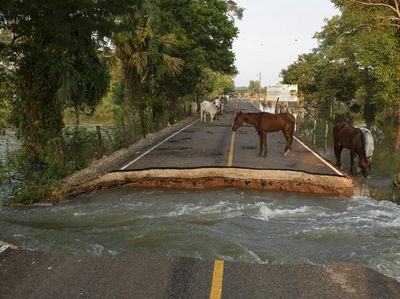 Potret Jalan di Meksiko Rusak Akibat Banjir