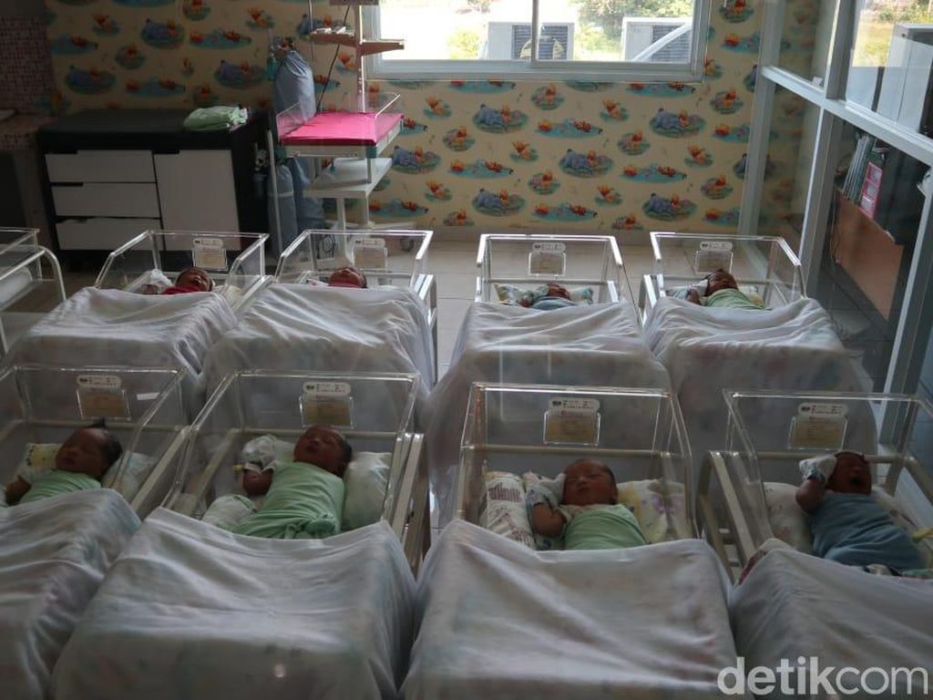10 Bayi Lahir Tepat Tanggal Cantik 11-11 di Cirebon 10 Bayi Lahir Tepat Tanggal Cantik 11-11 di Cirebon