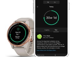 Jam Pintar Garmin Bisa Pantau Kehamilan