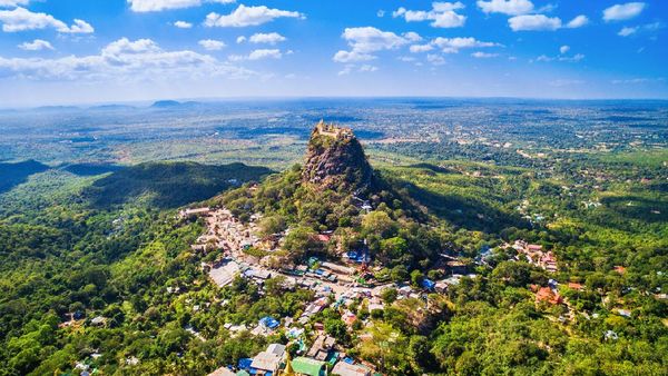 Spesies Primata Baru Ditemukan di Tempat Sakral Ini, tapi Terancam Punah