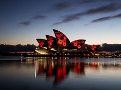 Gday, mate! Yuk Ikuti Virtual Tour ke Sydney, Australia, Gratis!