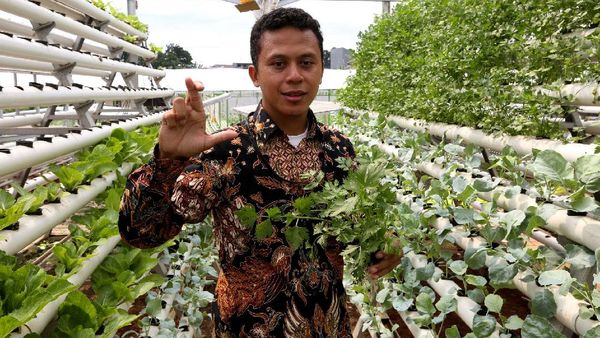 Solusi IoT untuk Urban Farming