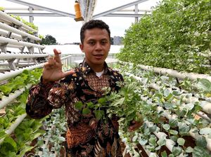 Solusi IoT untuk Urban Farming