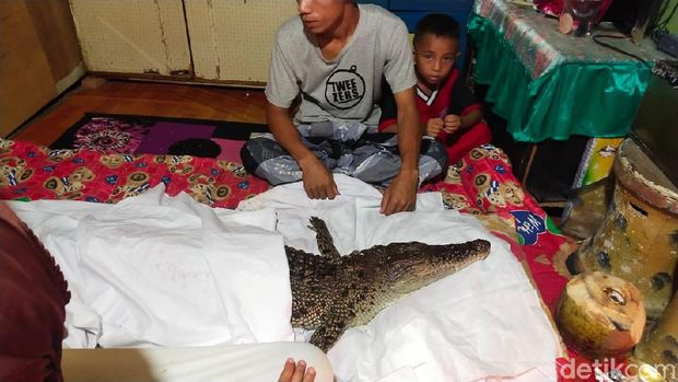 Buaya diyakni warga di Makassar sebagai keturunan manusia