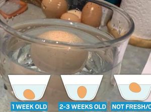 Cara Gampang Mengecek Apakah Telur Masih Bagus atau Tidak Cara Gampang Mengecek Apakah Telur Masih Bagus atau Tidak