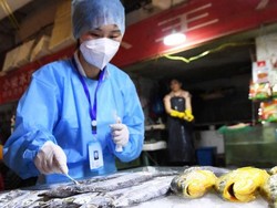 Dua Kali Ikan Asal Indonesia ke China Positif Corona, Apa yang Terjadi?