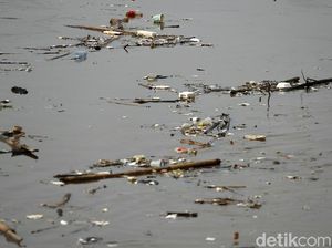 Kali Ciliwung di Bukit Duri Dipenuhi Sampah