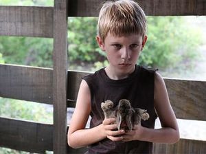 Sinopsis The Boy, Arwah Bocah Lelaki Bawa Teror